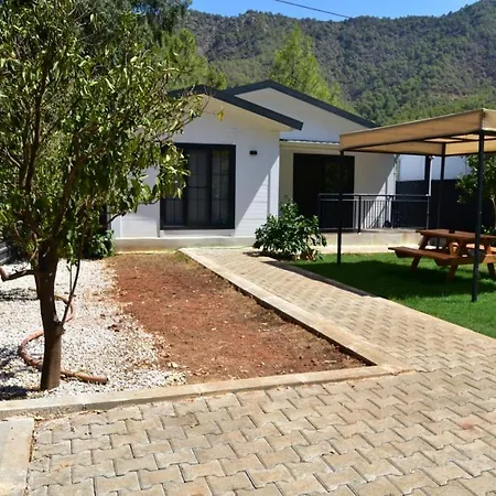 Villaant Villa Adrasan